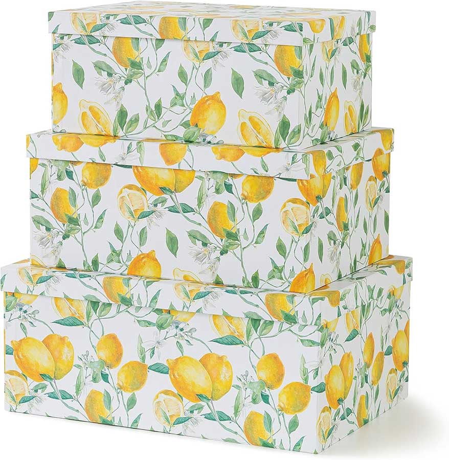 Soul & Lane Decorative Cardboard Storage Boxes with Lids for Home Decor and Organization, Set of 3 Large Keepsake Boxes for Memories & Gifts