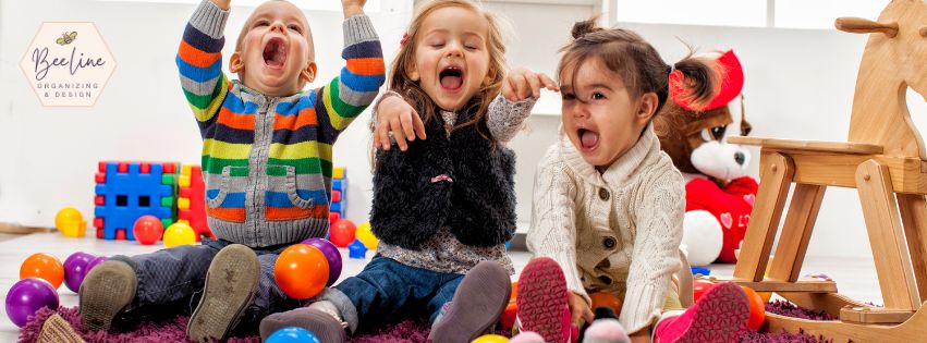 What is the 20 Toy Rule?
